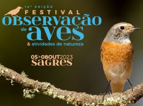 Sagres Birdwatching Festival
